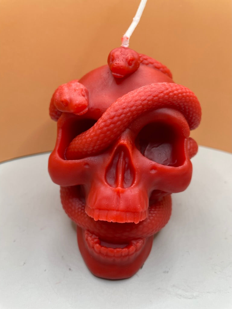 red snakes in a skull